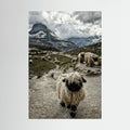 Out of my way by Susanne Landolt