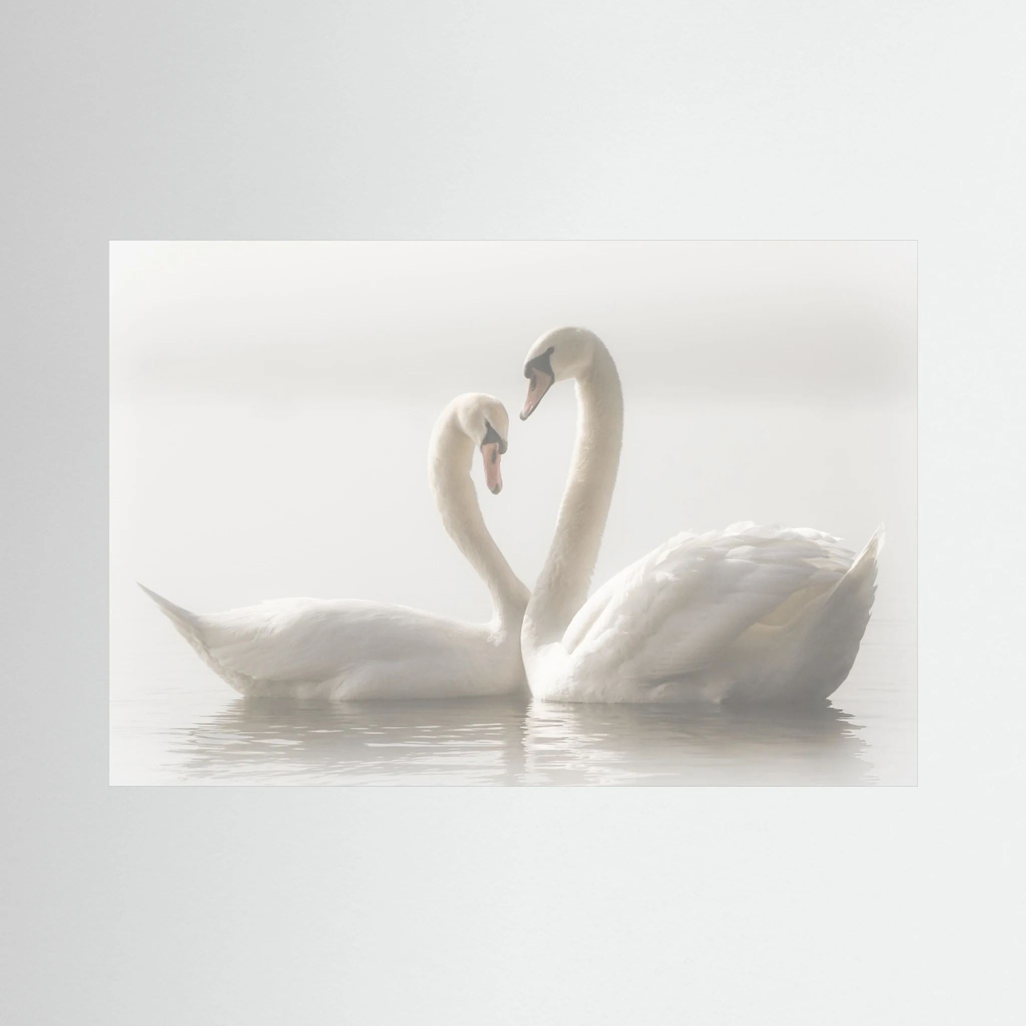 Forever by Monika Schwager