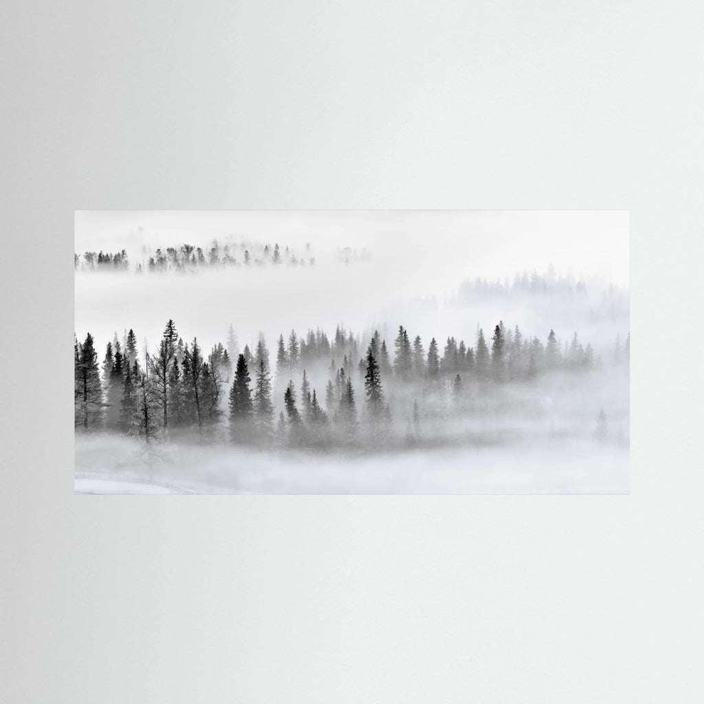 Foggy Forest by Mei Xu