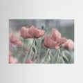 Softly by Anne Worner