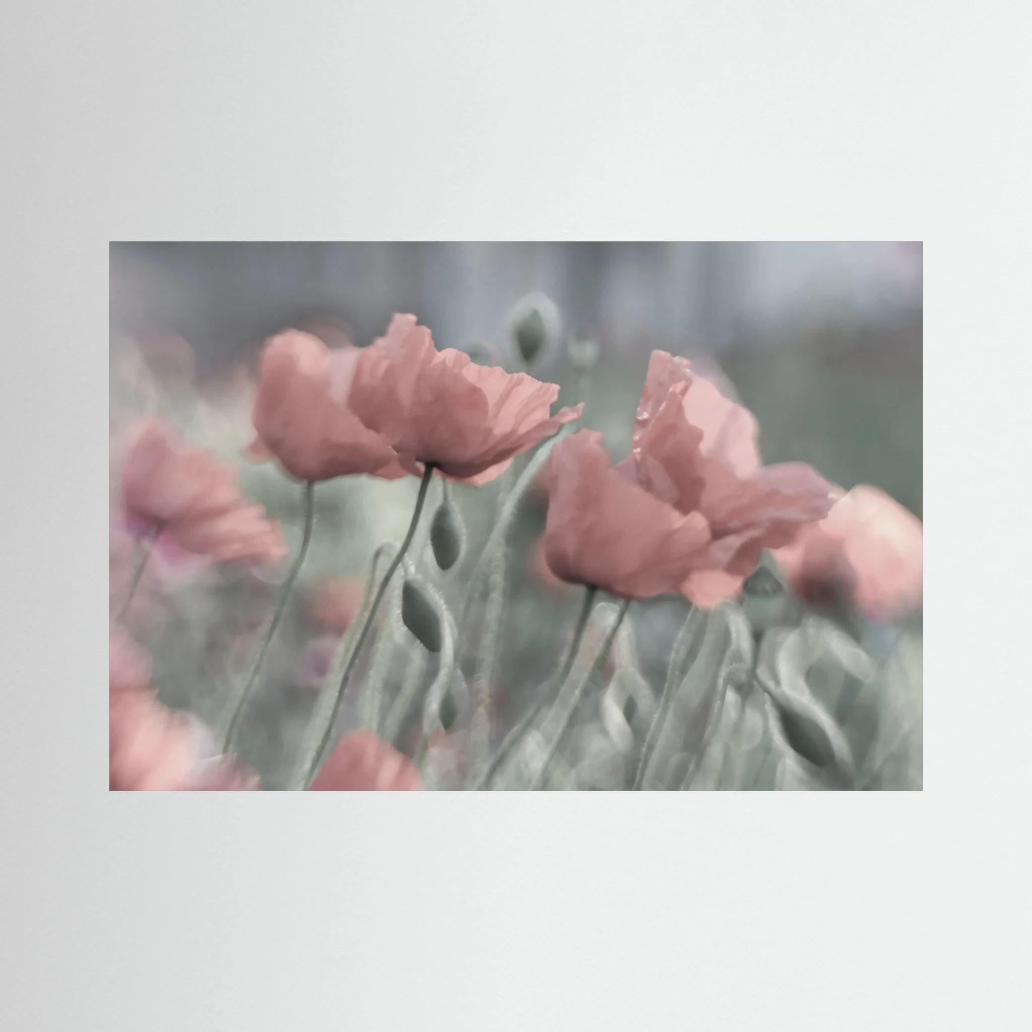 Softly by Anne Worner