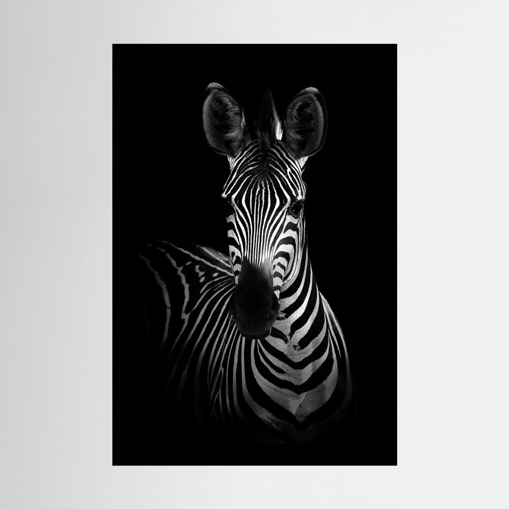 The Zebra by Wild Photo Art