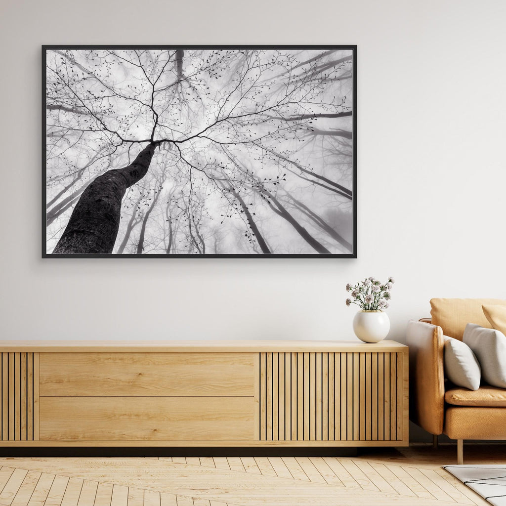 A view of the tree crown by Tom Pavlasek