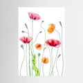 Poppies by Mandy Disher