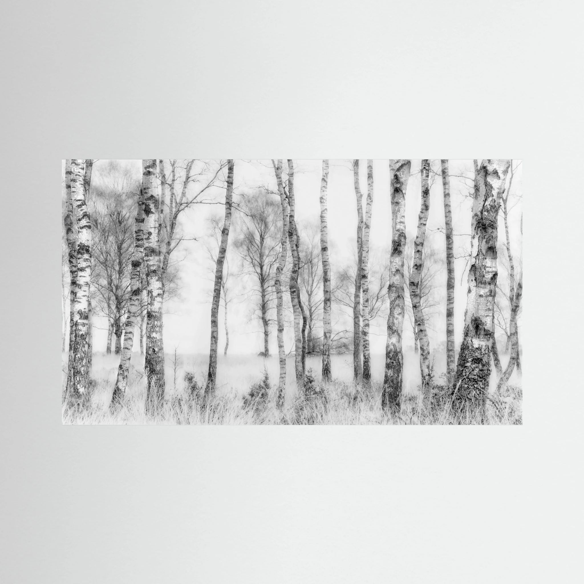 Black and white by Nel Talen