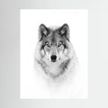 Portrait of a Timber Wolf by Jim Cumming