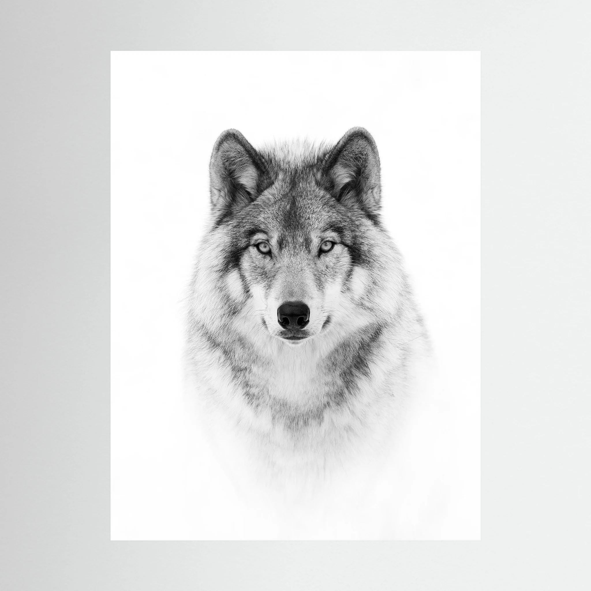 Portrait of a Timber Wolf by Jim Cumming