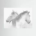 Horses by Marie Anne Stas