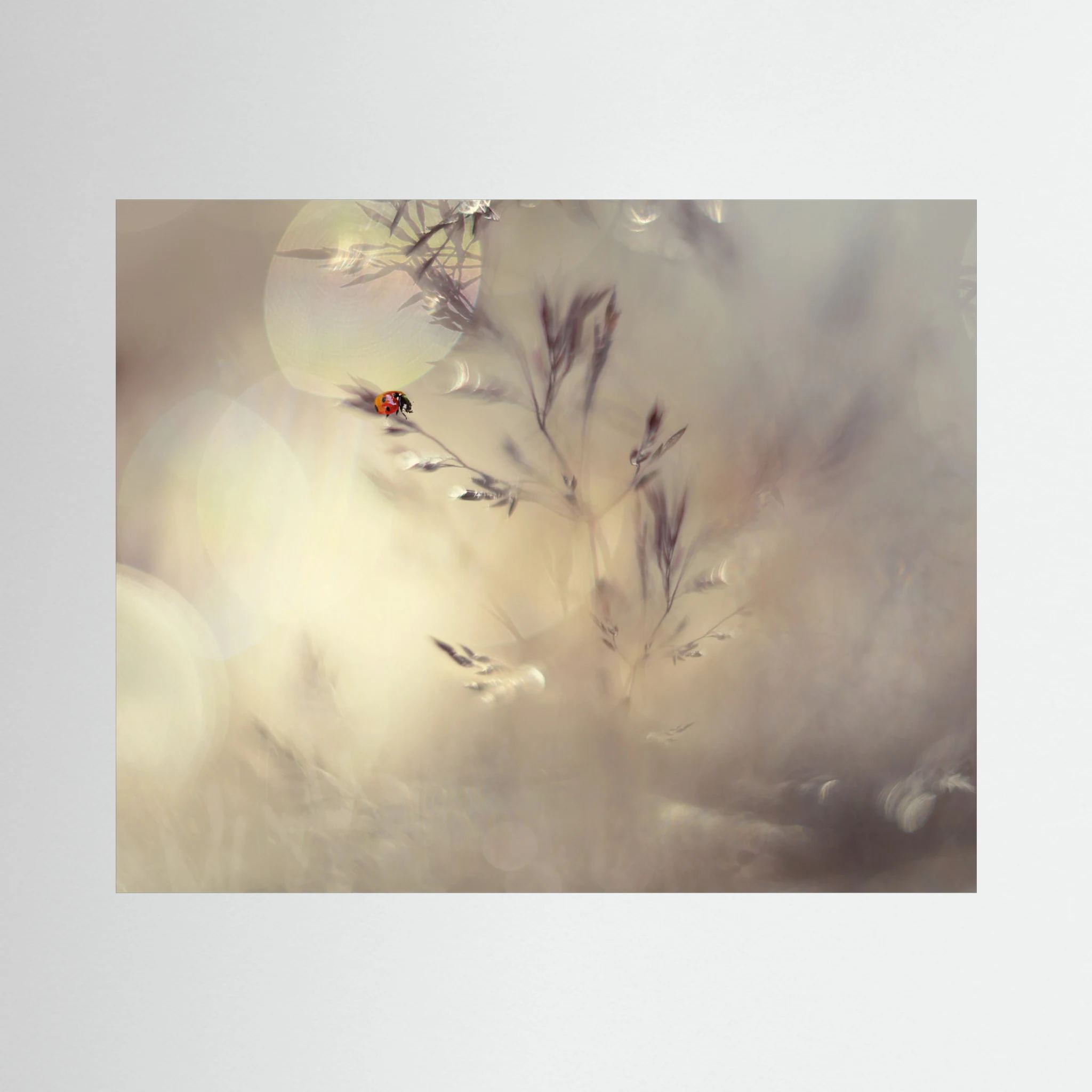 Little lady by Heidi Westum