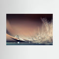Stories of Drops by Dmitry Doronin