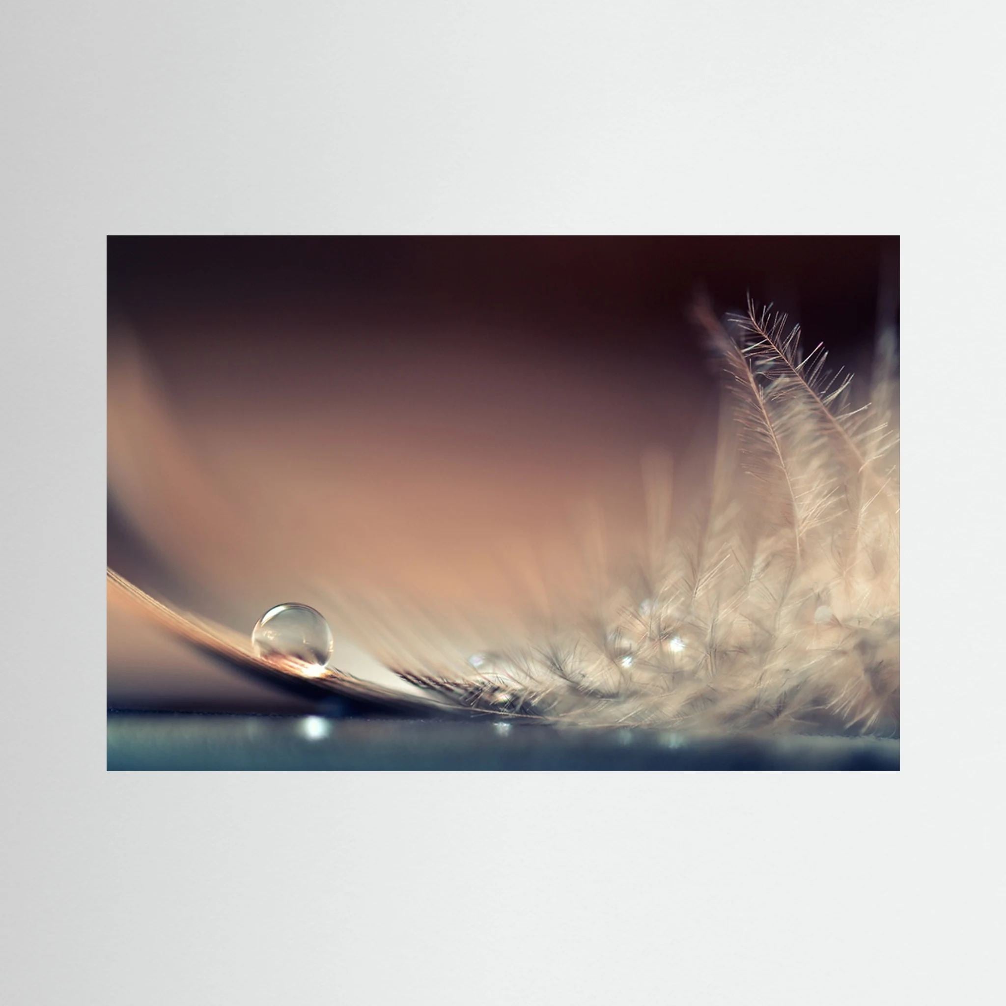 Stories of Drops by Dmitry Doronin