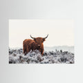 Highlander by Jaap Van Den Helm
