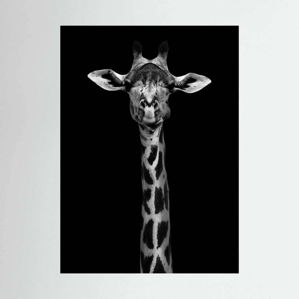 Giraffe Portrait by Wild Photo Art